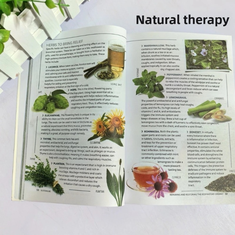 Sustain Me Barbara O'Neill: Un - Health Wellness Lifestyle recensione e prezzo